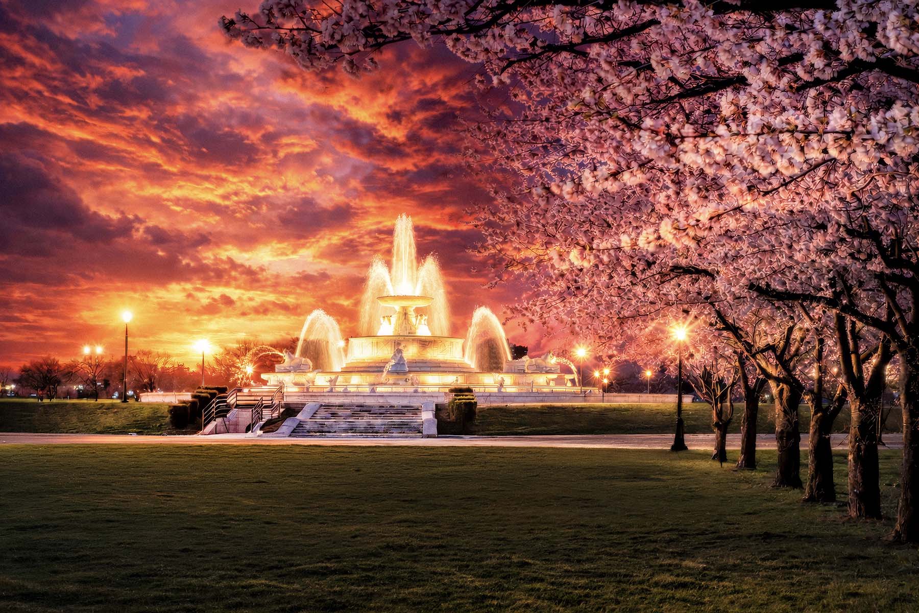 Belle Isle Fountain Wall Art Detroit Michigan Cherry Blossoms Sunset