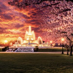 Belle Isle Fountain cherry blossoms canvas wall art Detroit sunset